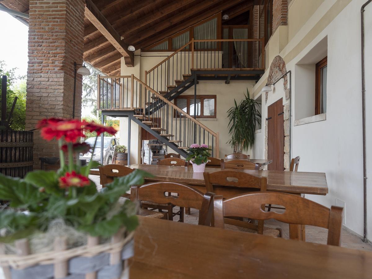 Agriturismo Il Palazzone Montegalda Екстер'єр фото
